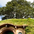 Newzealand_20191113-100440_5800.jpg