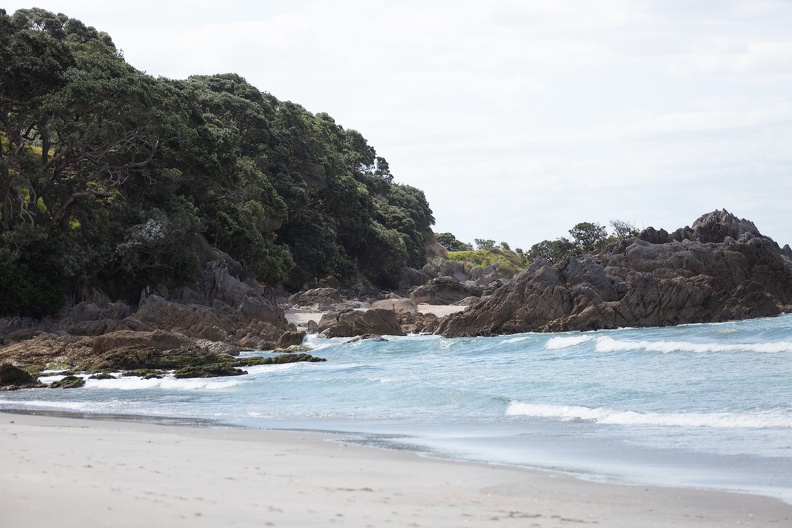 Newzealand 20191113-151409 5878 - Newzealand_20191113-151409_5878.jpg Newzealand_20191113-151409_5878.jpg