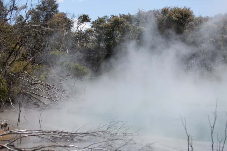 Newzealand 20191114-125650 6126 - Newzealand_20191114-125650_6126.jpg Newzealand_20191114-125650_6126.jpg