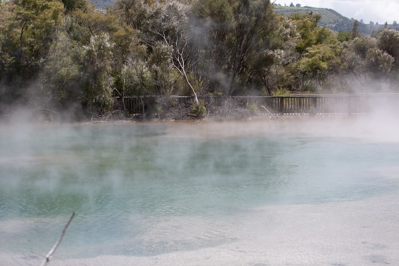 Newzealand 20191114-130559 6137 - Newzealand_20191114-130559_6137.jpg Newzealand_20191114-130559_6137.jpg