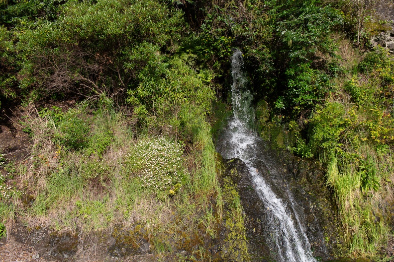 Newzealand 20191114-181203 6166 - Newzealand_20191114-181203_6166.jpg Newzealand_20191114-181203_6166.jpg