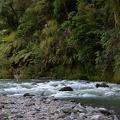 Newzealand_20191114-183508_6214.jpg