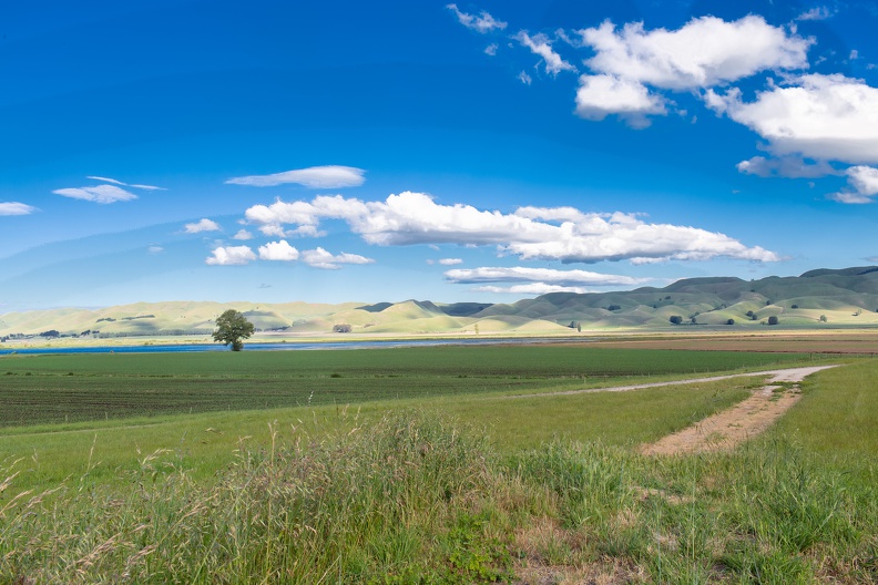 Newzealand 20191115-175559 - Newzealand_20191115-175559_.jpg Newzealand_20191115-175559_.jpg