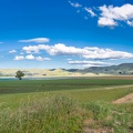 Newzealand_20191115-175559_.jpg