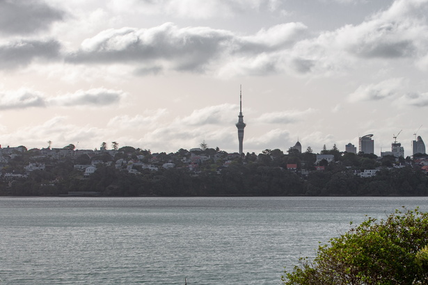 Newzealand 20191122-184619 7418