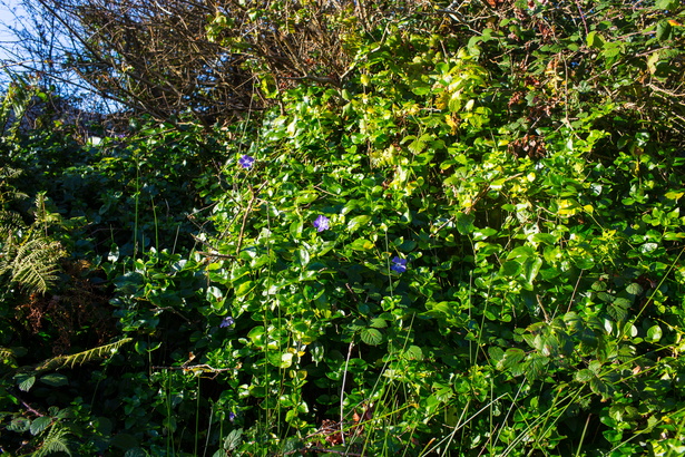 Irland 20161029-111629 6586