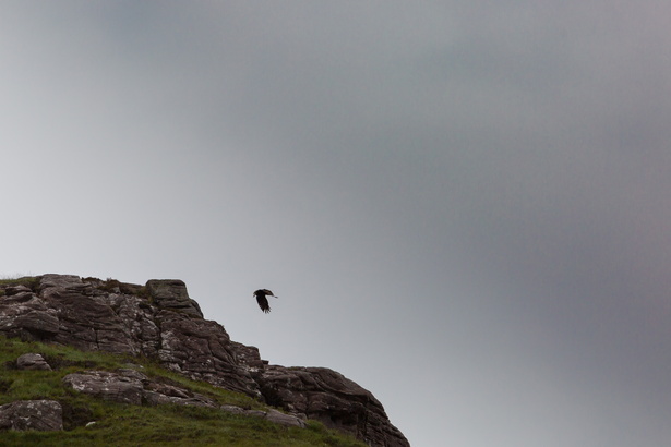 Scotland 20180717-115050 2055