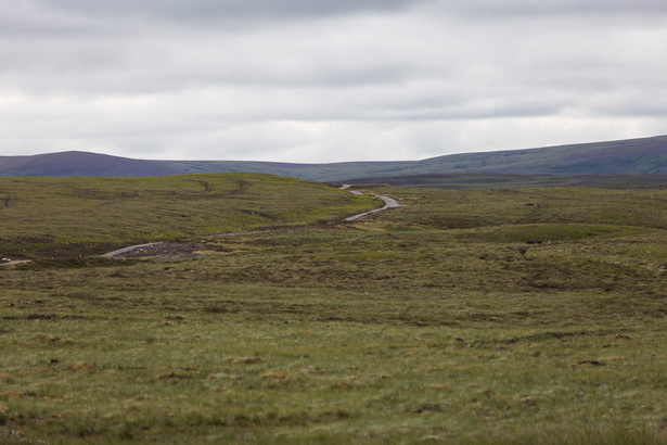 Scotland 20180721-100846 2470