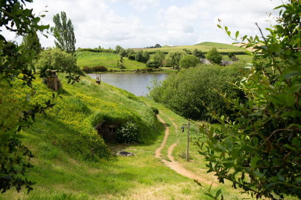 Newzealand 20191113-102457 5828